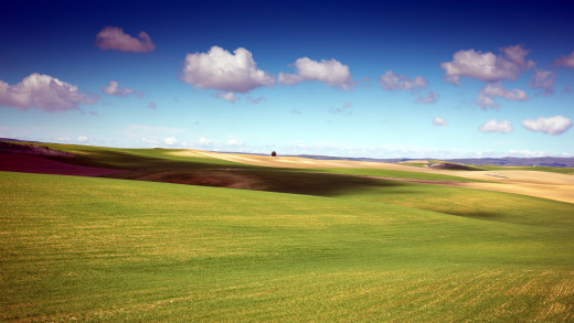 1194015 (a): :2560x1440